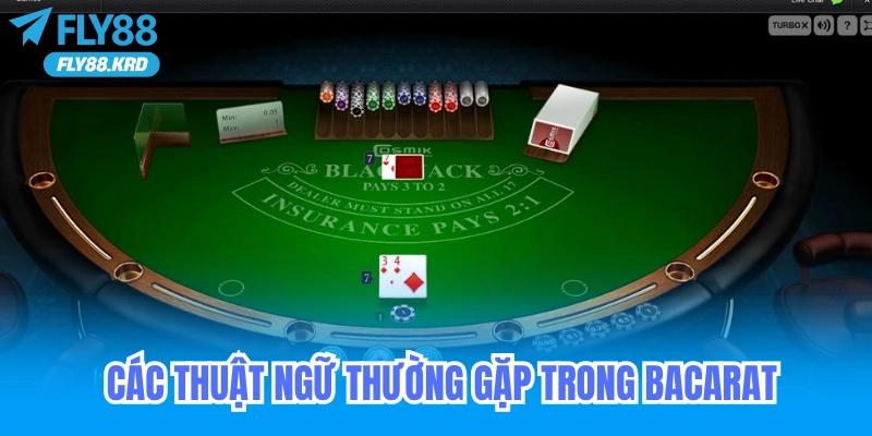 Các Thuật Ngữ Thường Gặp Trong Baccarat